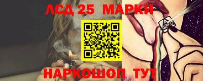 прущие грибы Кандалакша