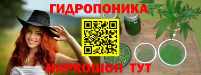 прущие грибы Кандалакша