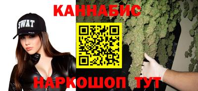 прущие грибы Кандалакша