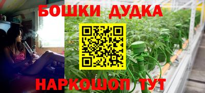 ПСИЛОЦИБИНОВЫЕ ГРИБЫ Канаш