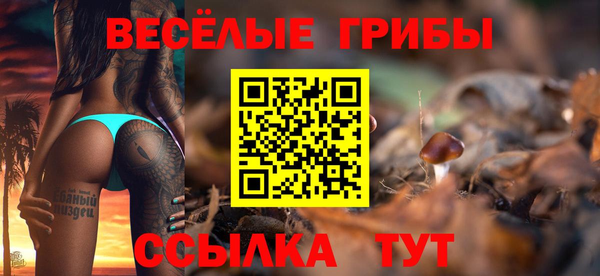 Псилоцибиновые грибы GOLDEN TEACHER  Вход с VPN  Галлюциногенные грибы мухоморы  Лесосибирск 